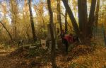 b_150_100_16777215_00_images_23132_3.jpg